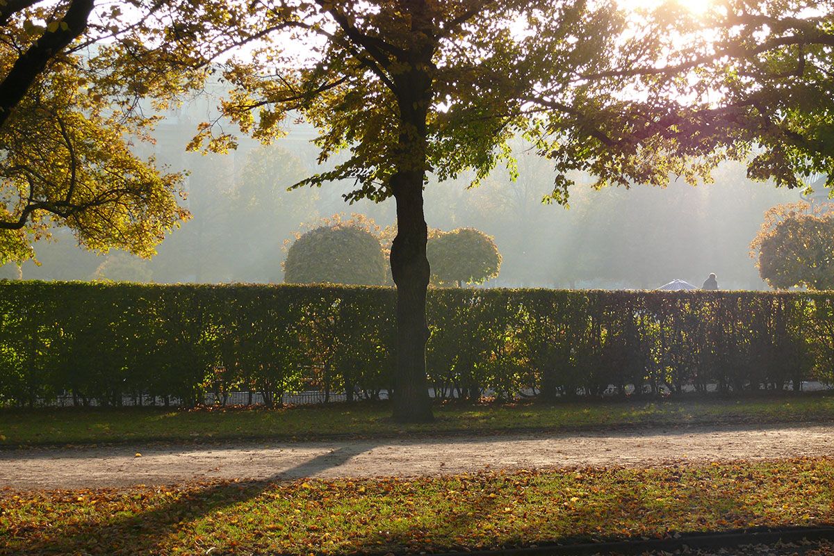 München - Hofgarten im Herbst